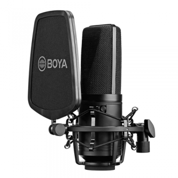 Professional large condenser microphone