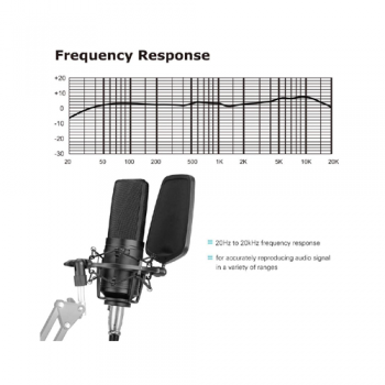 Professional large condenser microphone